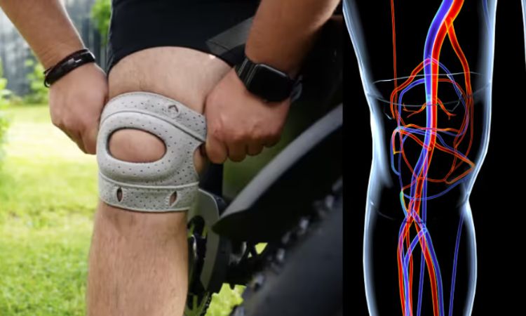 Wellnee Knee Brace